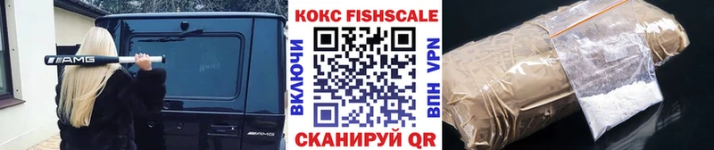 Купить закладки  Вельск  Cocaine VHQ 