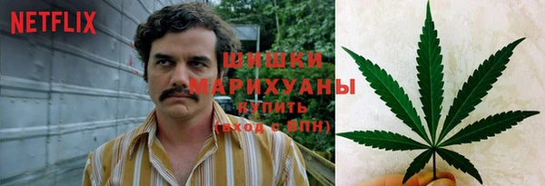 эйфоретик Горняк
