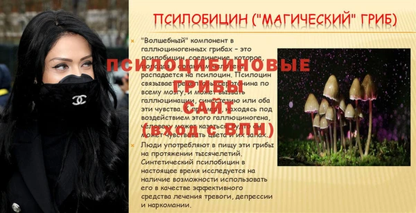 гидропоника Гусиноозёрск