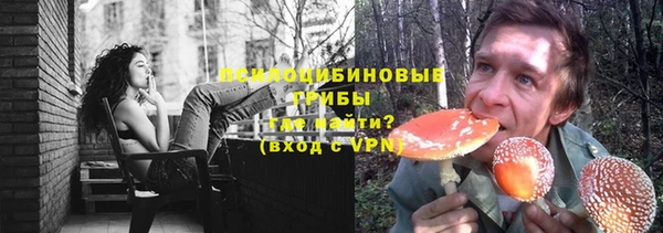 гидра Гусь-Хрустальный