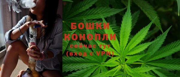 эйфоретик Горняк