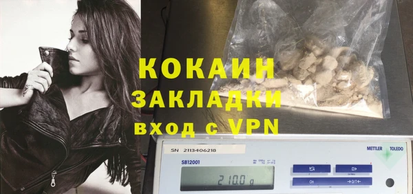 гидропоника Гусиноозёрск